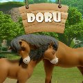 Doru Puzzle