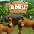 Doru Puzzle