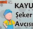 Kayu Şeker Avcısı