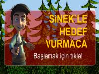 Sinek Hedef Vurmaca