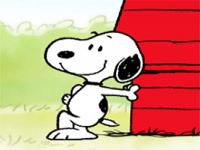 Ne Haber Snoopy