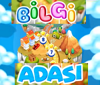 Bilgi Adası Oyunları