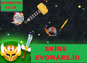 Evowars.io Skin