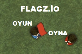 Flagz.io Oyunu Oyna