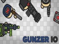 Gunzer.io