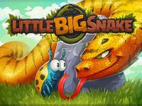 Little Big Snake