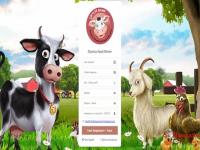 Çiftlik Bank Oyunu