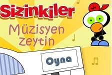 Zeytin İle Limon Müzisyen