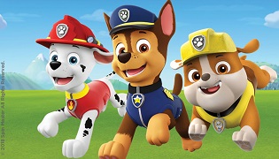 Paw Patrol Oyunu