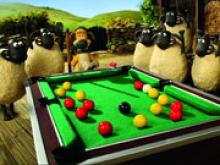 Koyun Shaun Bilardo