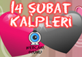 14 şubat kalpleri