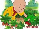 Caillou Çilek Lekesi