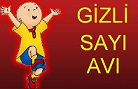 Caillou Kayu Gizli Sayıları Bul