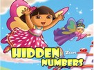 Dora Saklı Sayılar