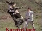 Kareteci inek Komik