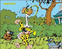 Marsupilami