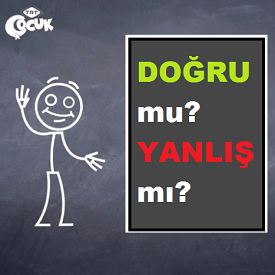 Tel Ali Doğru mu Yanlış mı