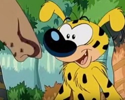 Marsupilami Maceraları