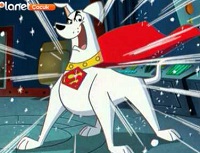 Süper Köpek Krypto