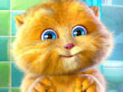 Talking Ginger Talking Ginger