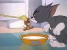 Tom ve Jerry izle