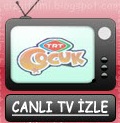 trt çocuğun oyunları canlı izle